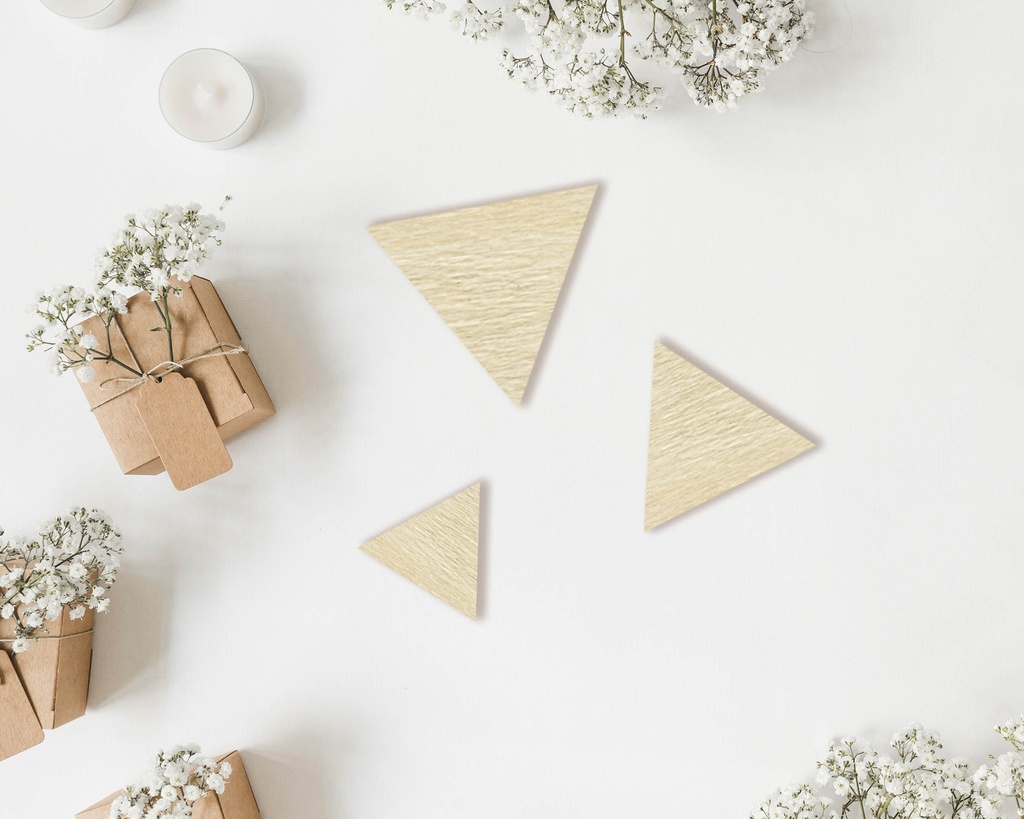Triangle Wooden Craft Shapes