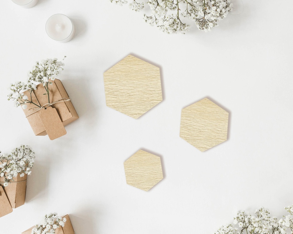 Hexagon Wooden Craft Shapes